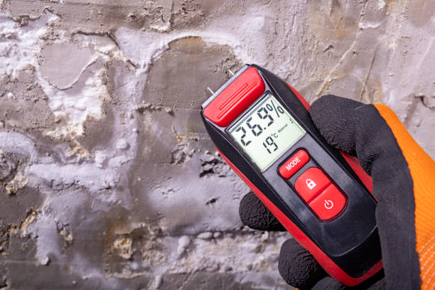 Best Kitchen Mold Remediation in Lyons, KS